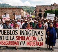Pueblos indígenas, entre la simulación, la inseguridad y la injusticia, para el Estado mexicano es más importante la venta de aguacate que la vida de los habitantes de los pueblos originarios #CSIM
