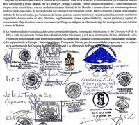 Consejo Supremo Indígena de Michoacán